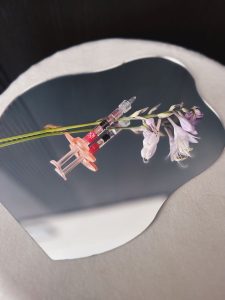 فیلرصورتfiller