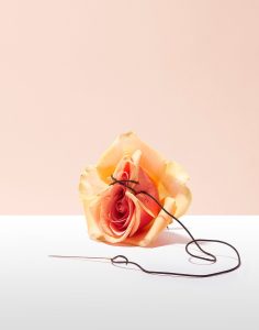 لابیاپلاستی